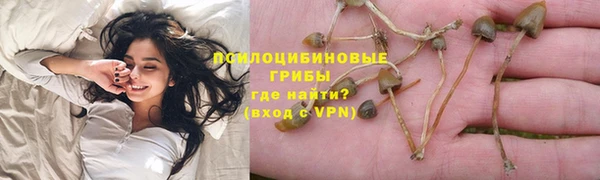 молекула духа Арсеньев