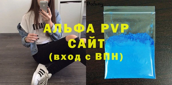 молекула духа Арсеньев
