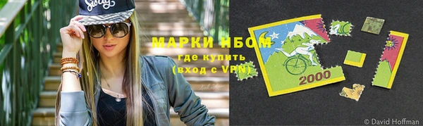 молекула духа Арсеньев