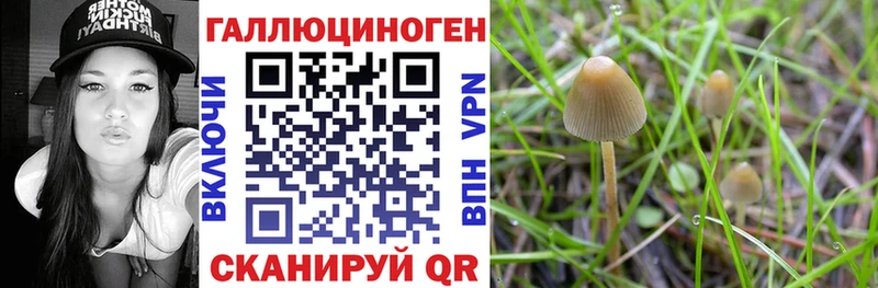 Галлюциногенные грибы Psilocybine cubensis  мориарти формула  Вилючинск 