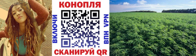где купить наркотик  Вилючинск  Бошки Шишки сатива 